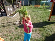 Sklízíme úrodu na zahrádce